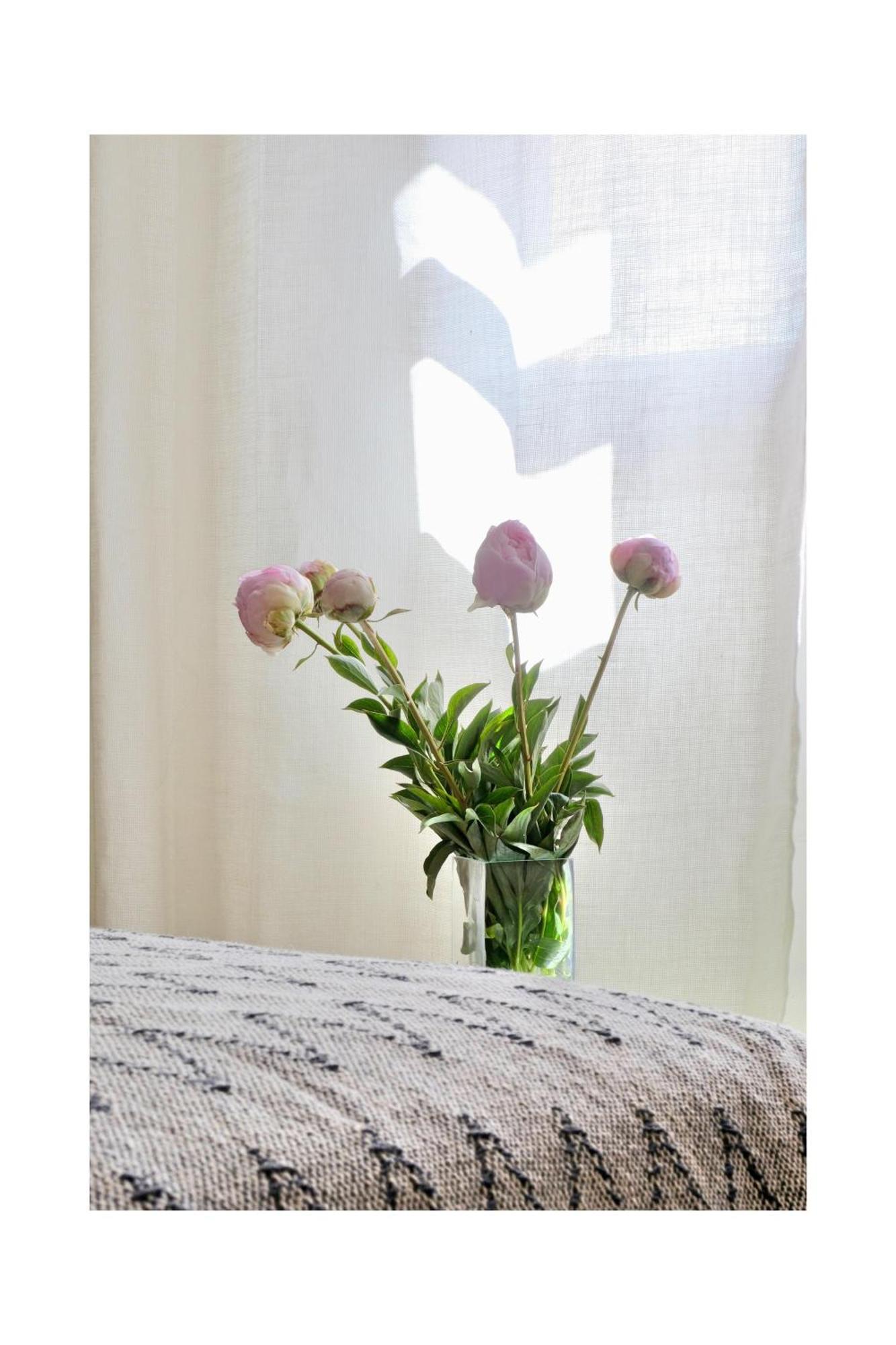 Les Jardins De Sitaara Bed & Breakfast Cucuron Ngoại thất bức ảnh
